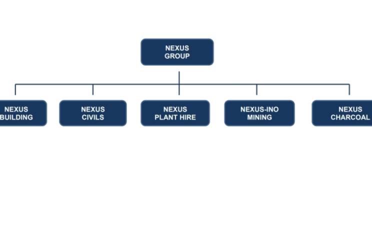 Nexus organogram